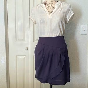 Banana Republic skirt